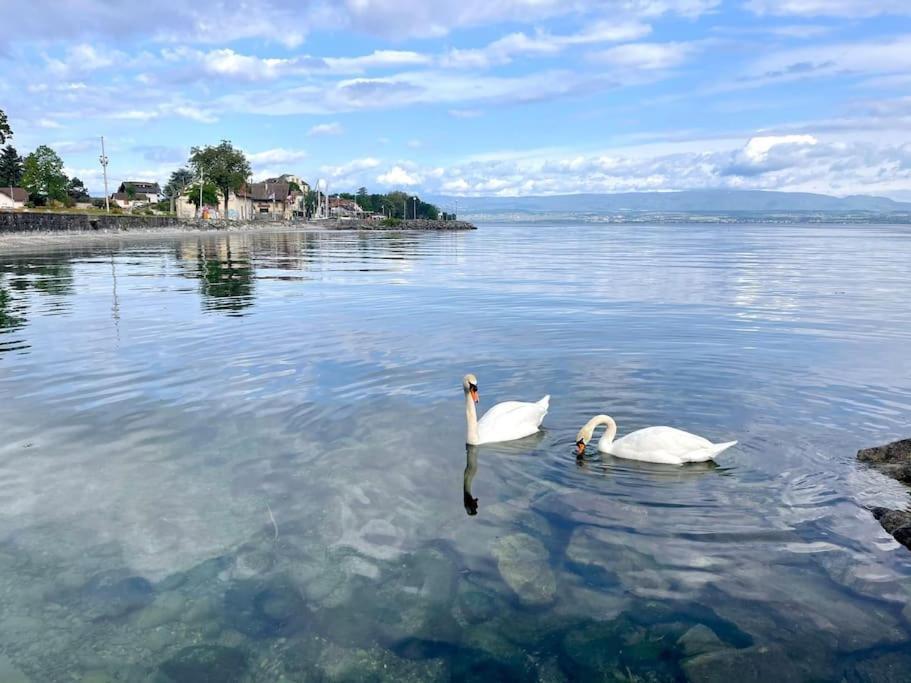 Appartement L'Escale Du Leman à Amphion-les-Bains Extérieur photo